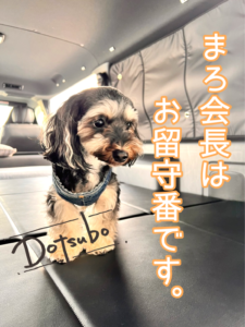 Dotsubo会長